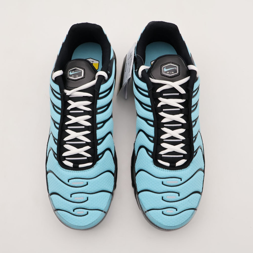 Nike Air Max Plus "Aqua Blue"