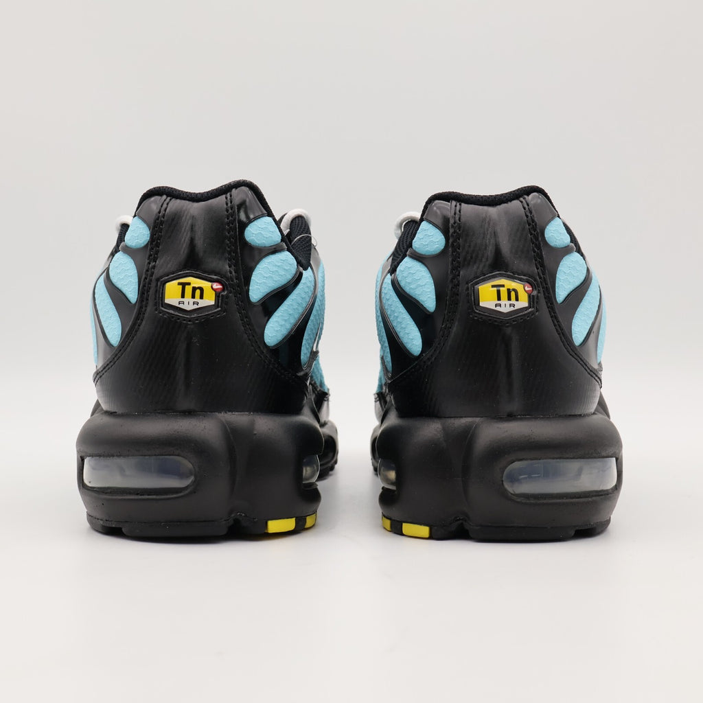 Nike Air Max Plus "Aqua Blue"